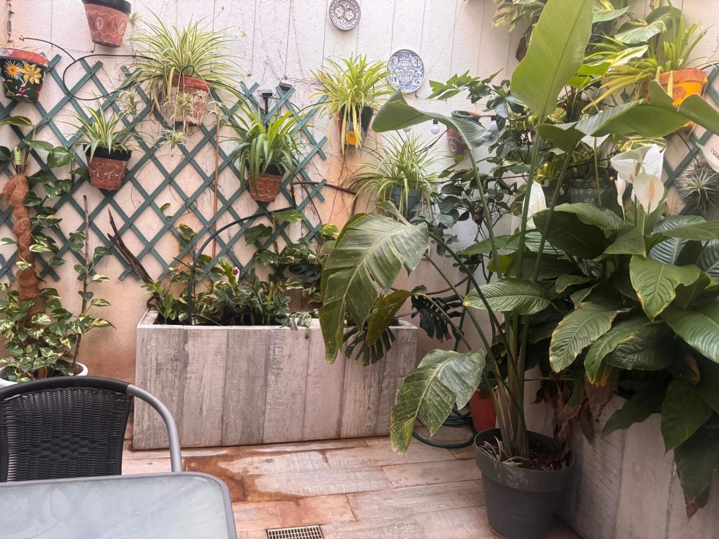 Beach Loft Tabaiba Екстериор снимка